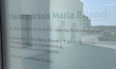Eingangstür